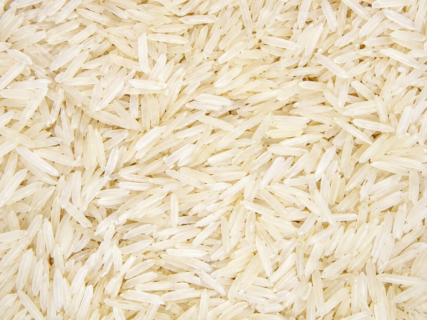 1121 Sella Rice grains