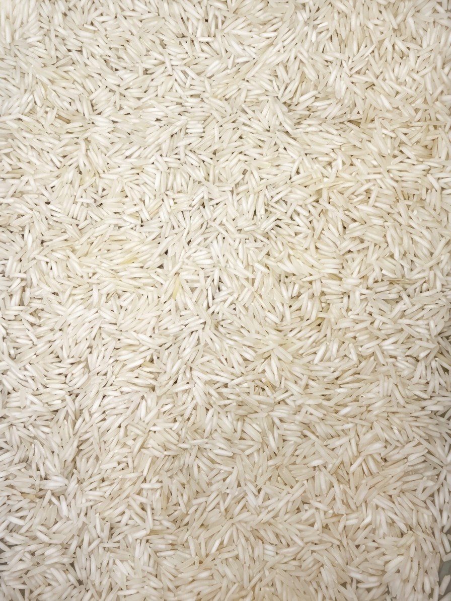 1121 Basmati Rice grains