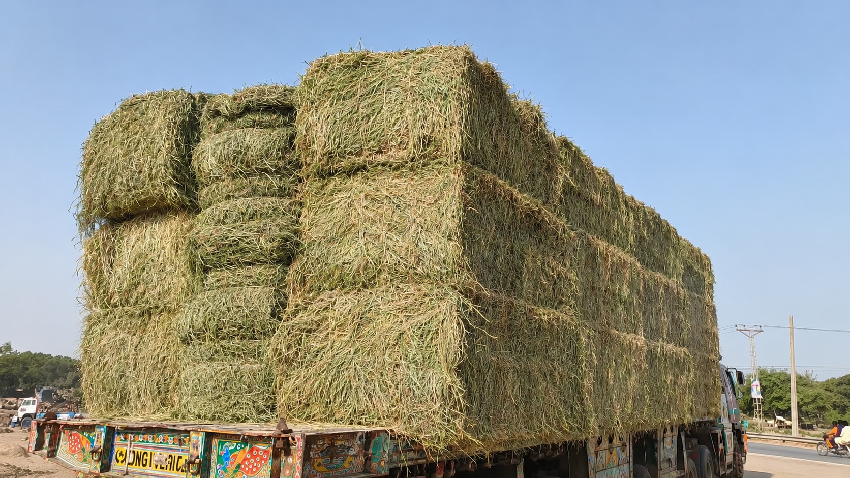 Rhodes Grass Export Enquiries Truck loaded with Rhodes grass hay bales